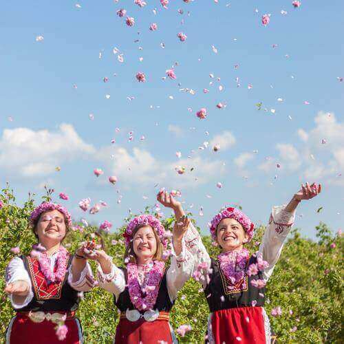 Bulgarian roses and rose traditions